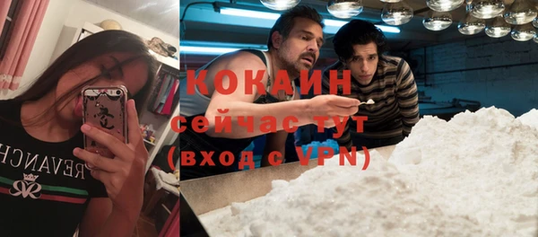 MESCALINE Гусев